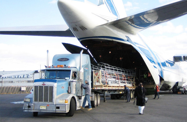 中文字幕精品AV一区二区五区